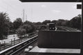 Marta Approaching