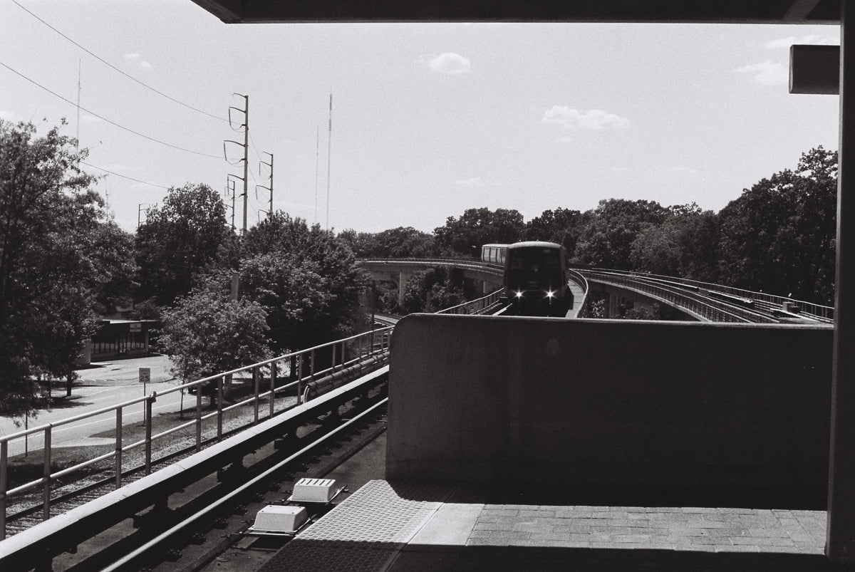 Marta Approaching