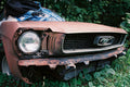 Beauty in the Rust