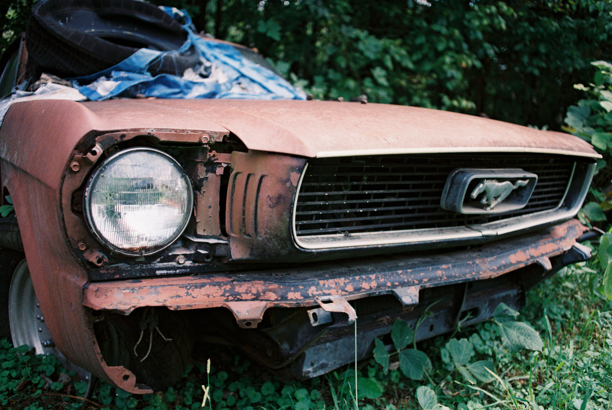 Beauty in the Rust
